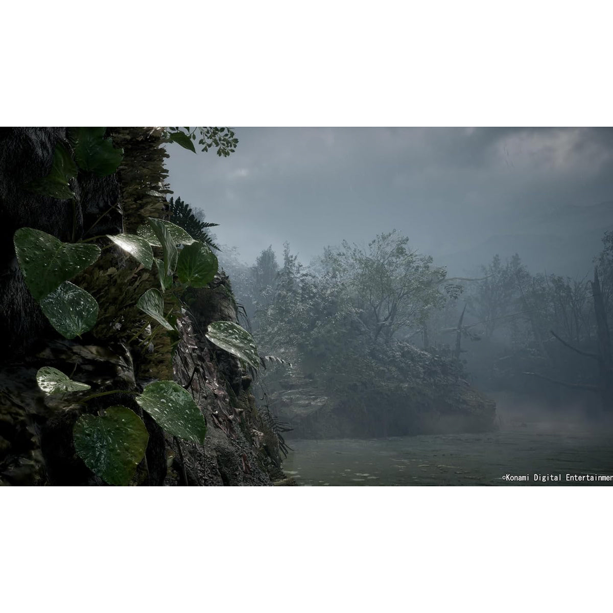 Metal Gear Solid Δ: Snake Eater Xbox Series X Físico