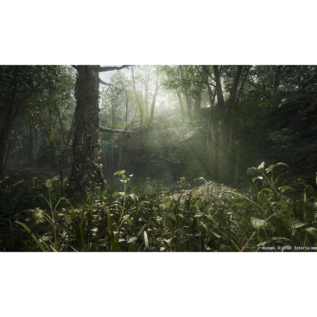 Metal Gear Solid Δ: Snake Eater Xbox Series X Físico