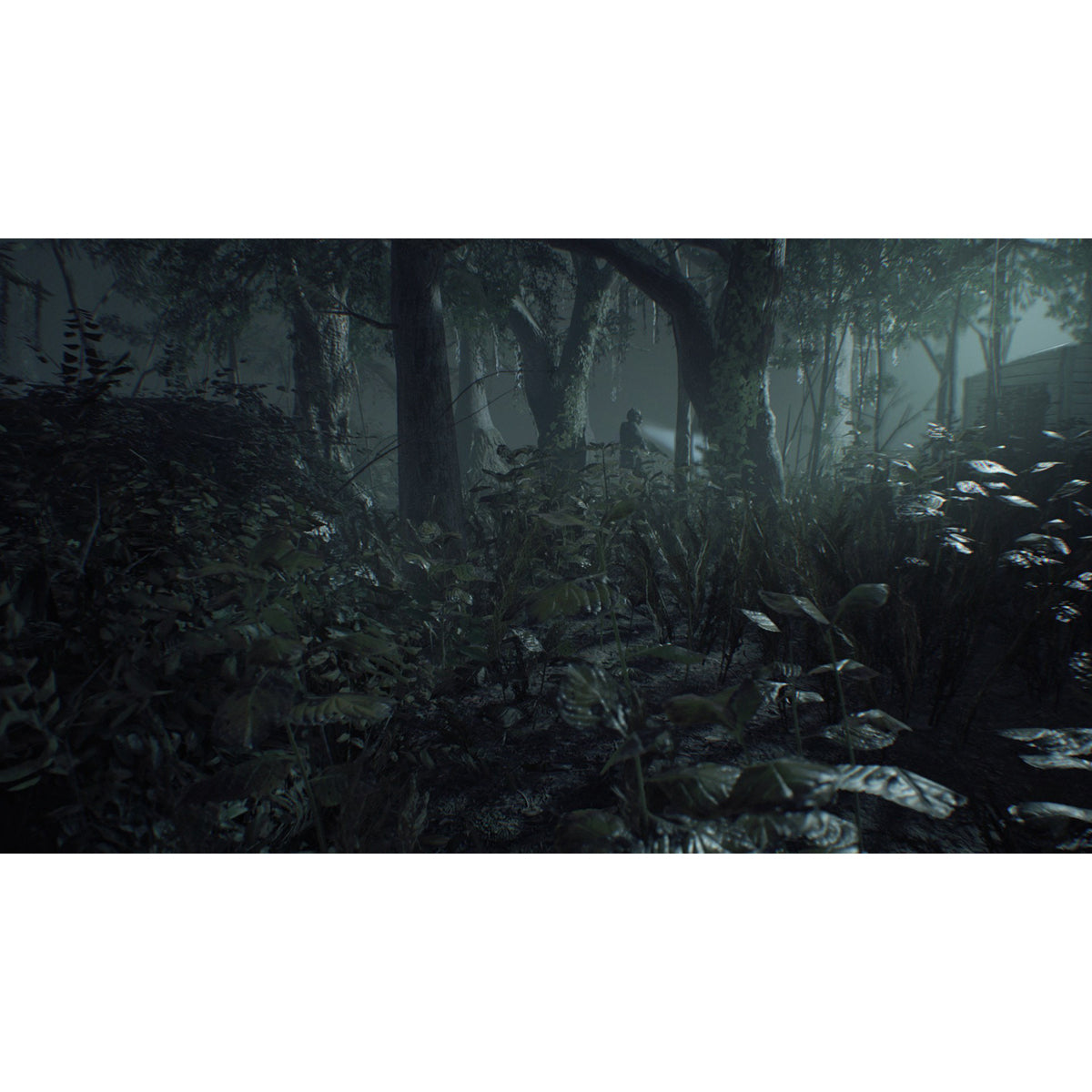 Resident Evil 7: Biohazard Gold Edition PS4 Físico