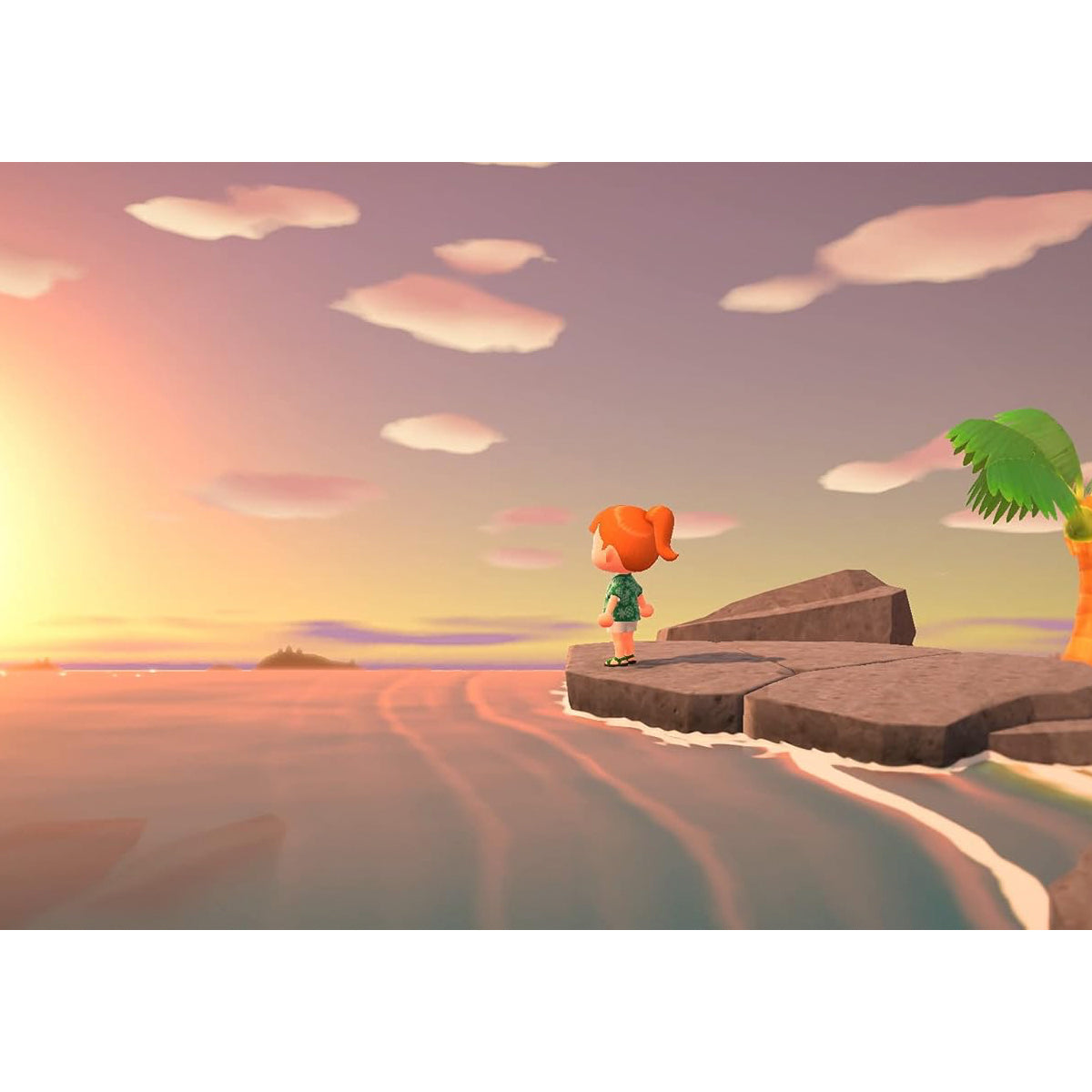 Animal Crossing New Horizons Nintendo Switch Físico
