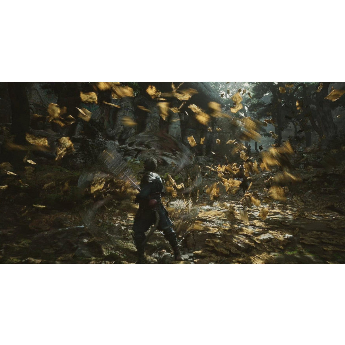 Black Myth: Wukong PS5 Físico