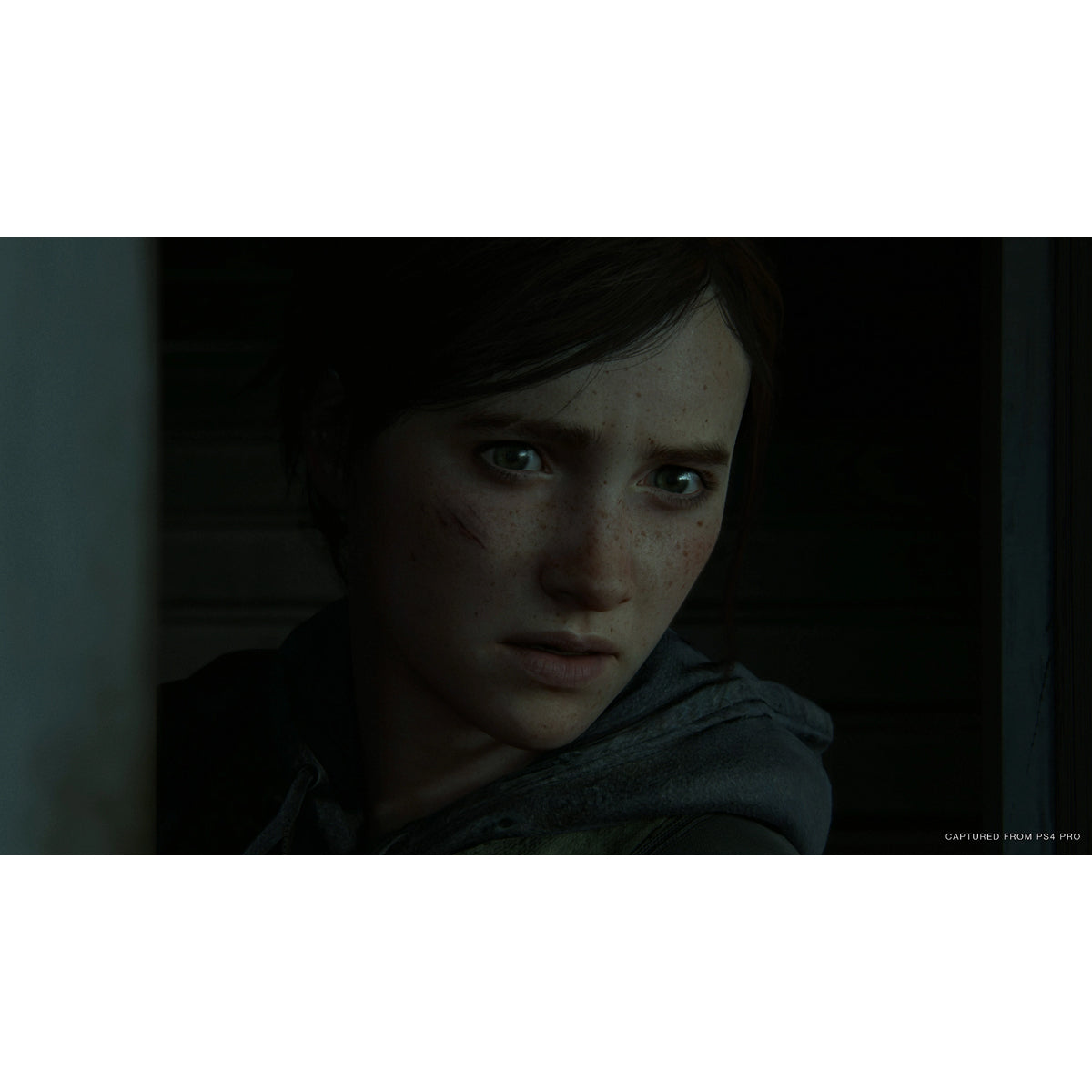 The Last Of Us Part II PS4 Físico