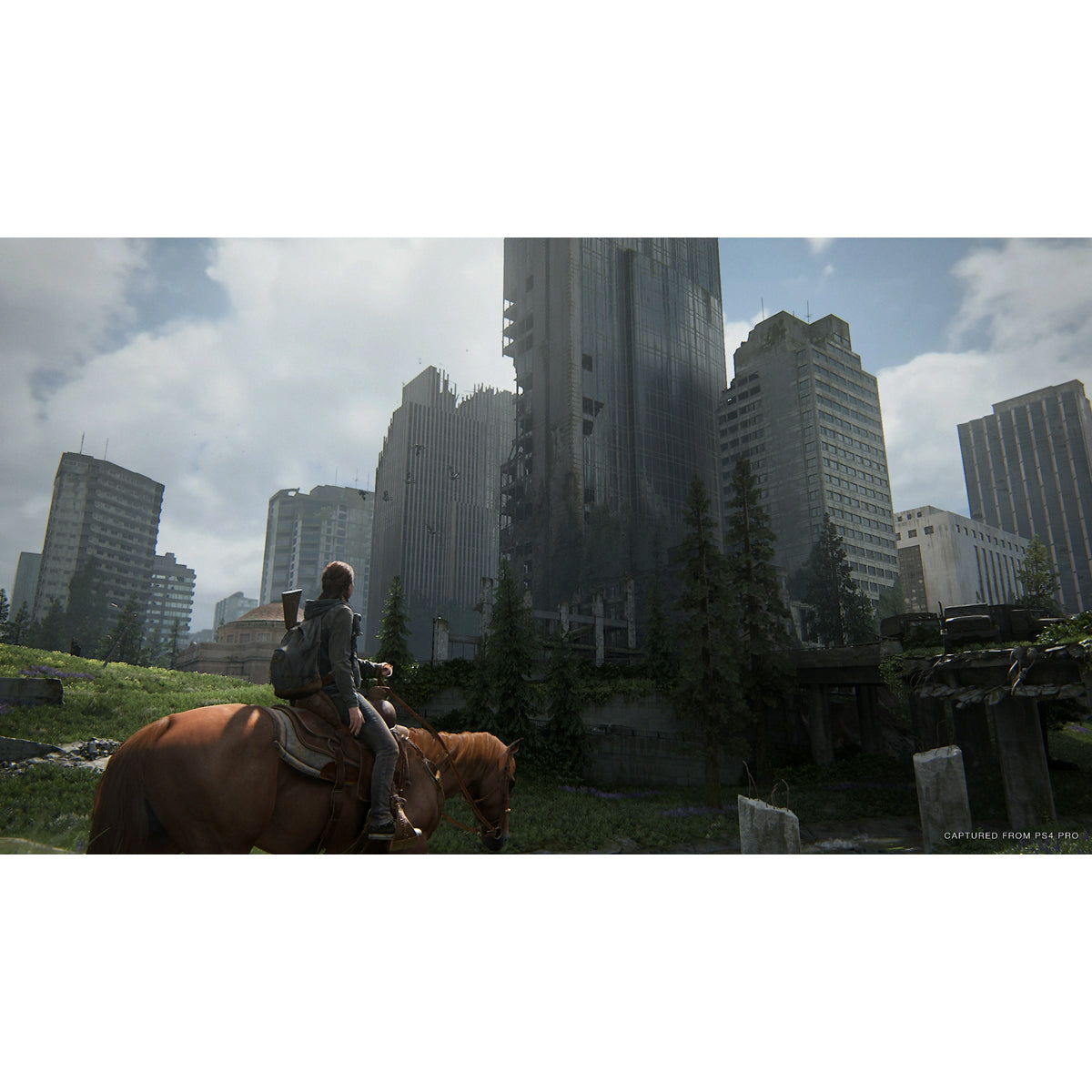 The Last Of Us Part II PS4 Físico
