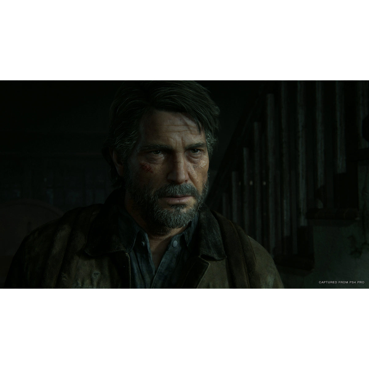 The Last Of Us Part II PS4 Físico