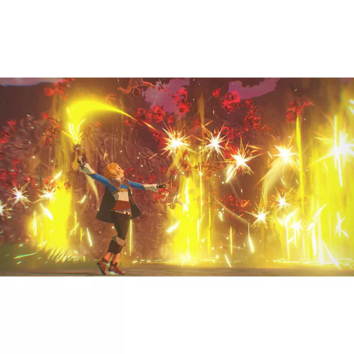 Hyrule Warriors: Age Of Imprisonmnet Nintendo Switch 2 Físico