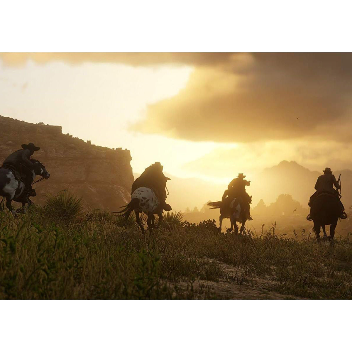 Red Dead Redemption 2 Ps4 Físico