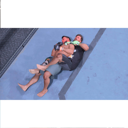 UFC 5 PlayStation 5 Físico