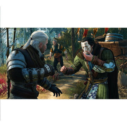 The Witcher: 3 Wild Hunt PlayStation 4 Físico