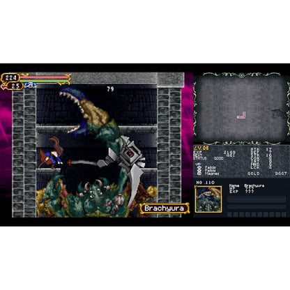 Castelvania Dominus Collection: Dawn Of Sorrow.-NSW Físico