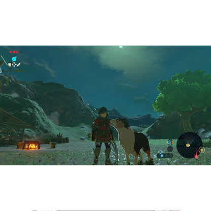 The Legend Of Zelda Breath Of The Wild NSW2 Físico