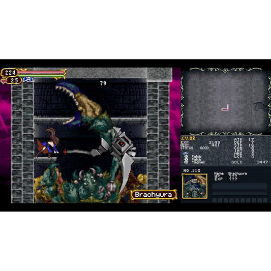 CASTELVANIA DOMINUS COLLECTION: PORTRAIT OF RION.-NSW