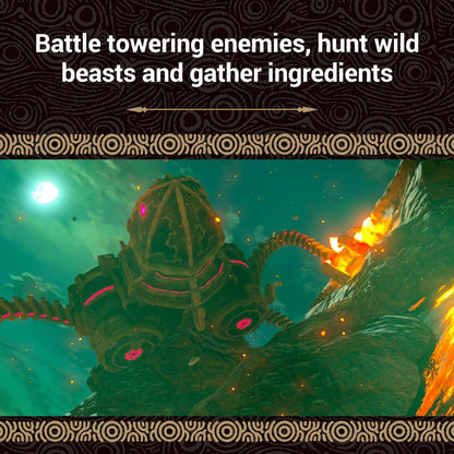 The Legend Of Zelda Breath Of The Wild NSW Físico