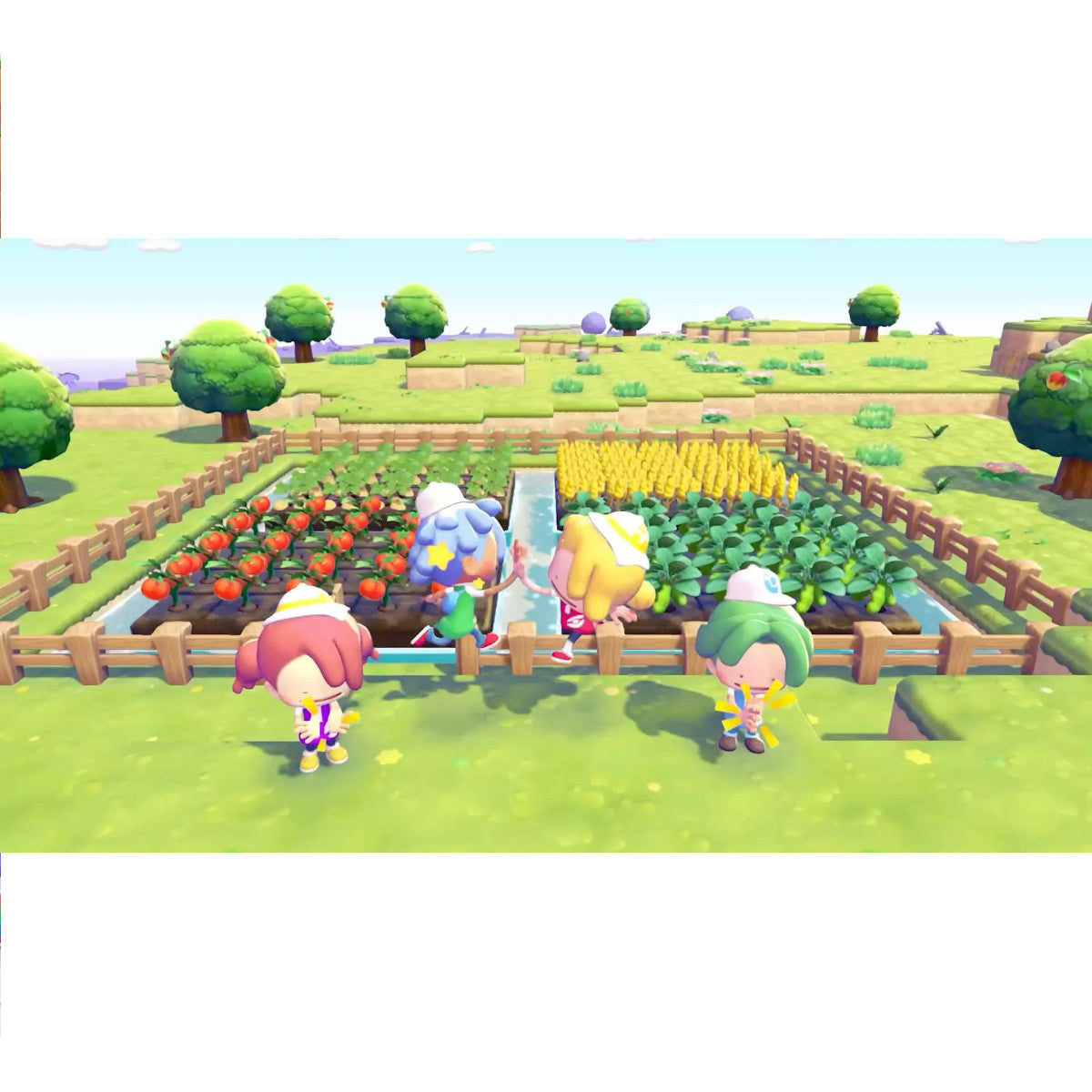 Pokémon Pokopia Nintendo Switch 2 Físico