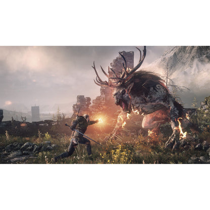 The Witcher: 3 Wild Hunt PlayStation 4 Físico