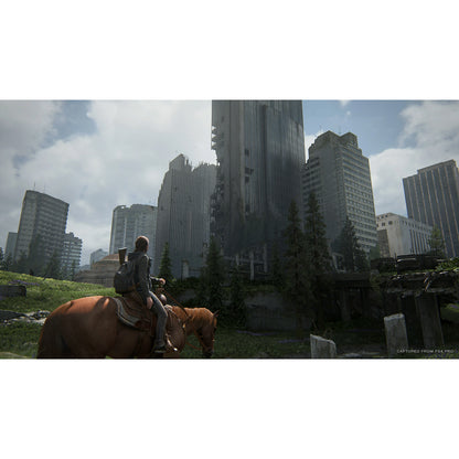 The Last Of Us Part II PS4 Físico