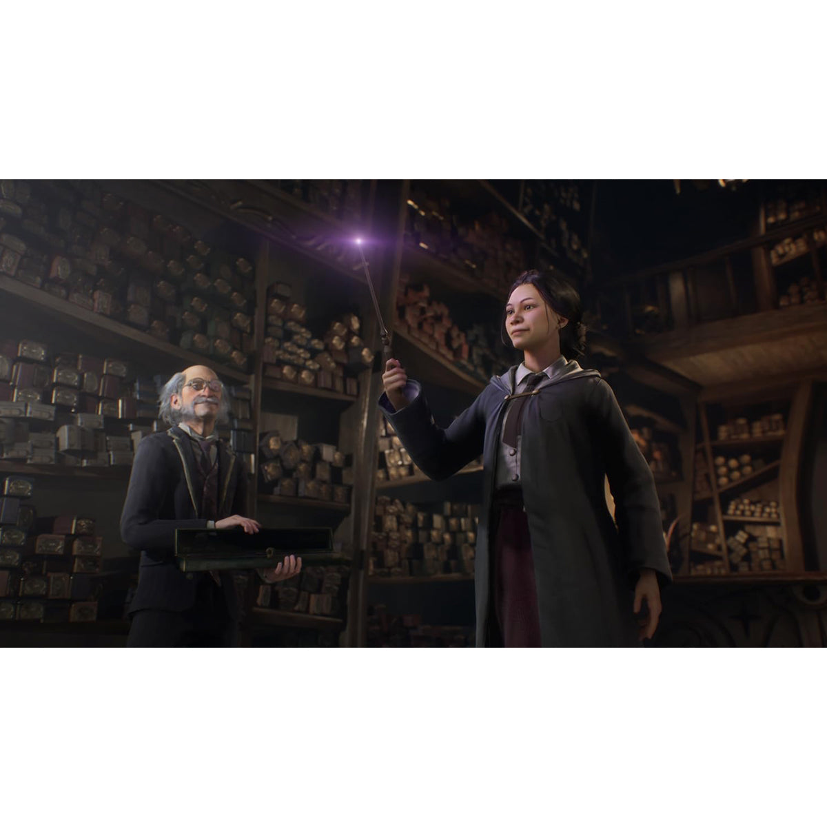 Hogwarts Legacy PS4 Físico