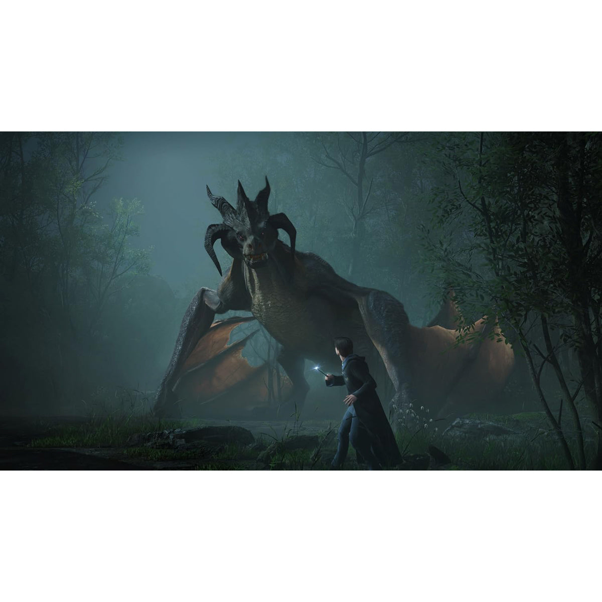 Hogwarts Legacy Xbox Series X Físico