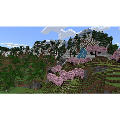 Minecraft Nintendo Switch Físico